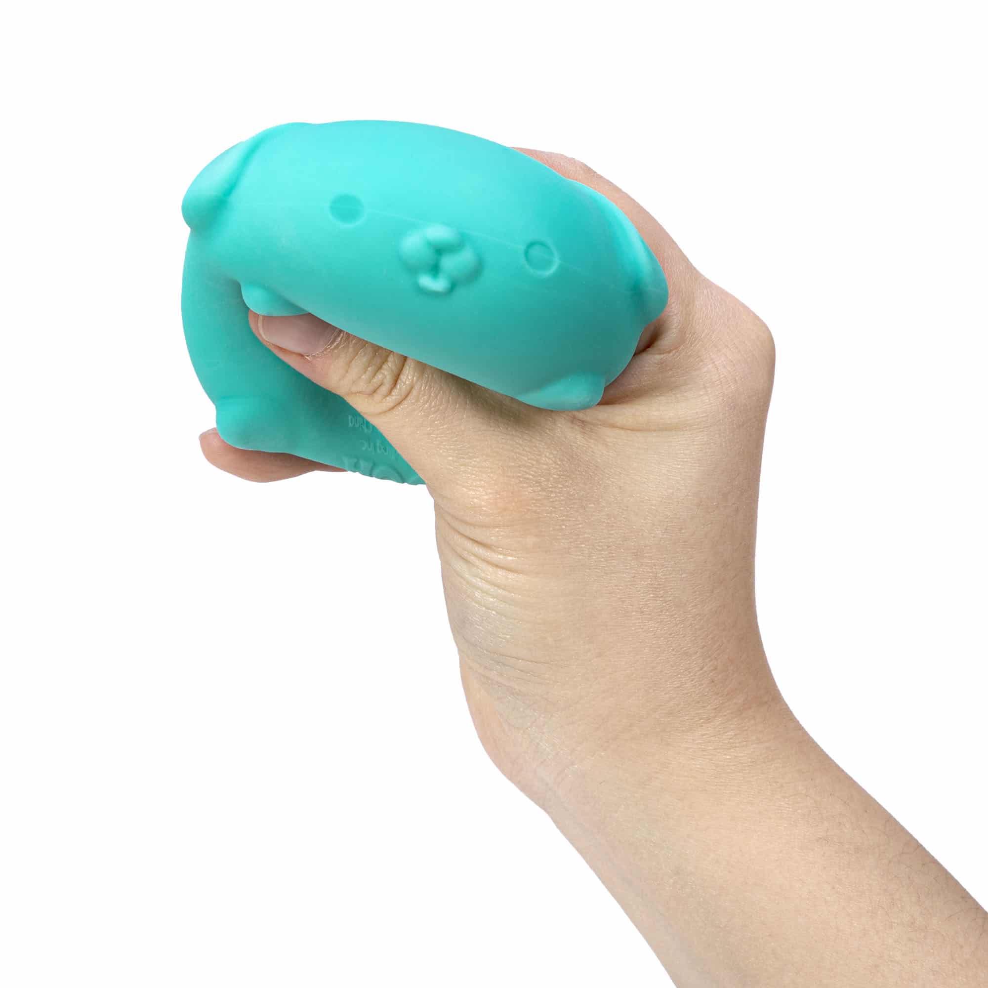 NeeDoh Funky Pup - Teal Squeezed